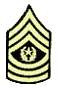 Army CSM